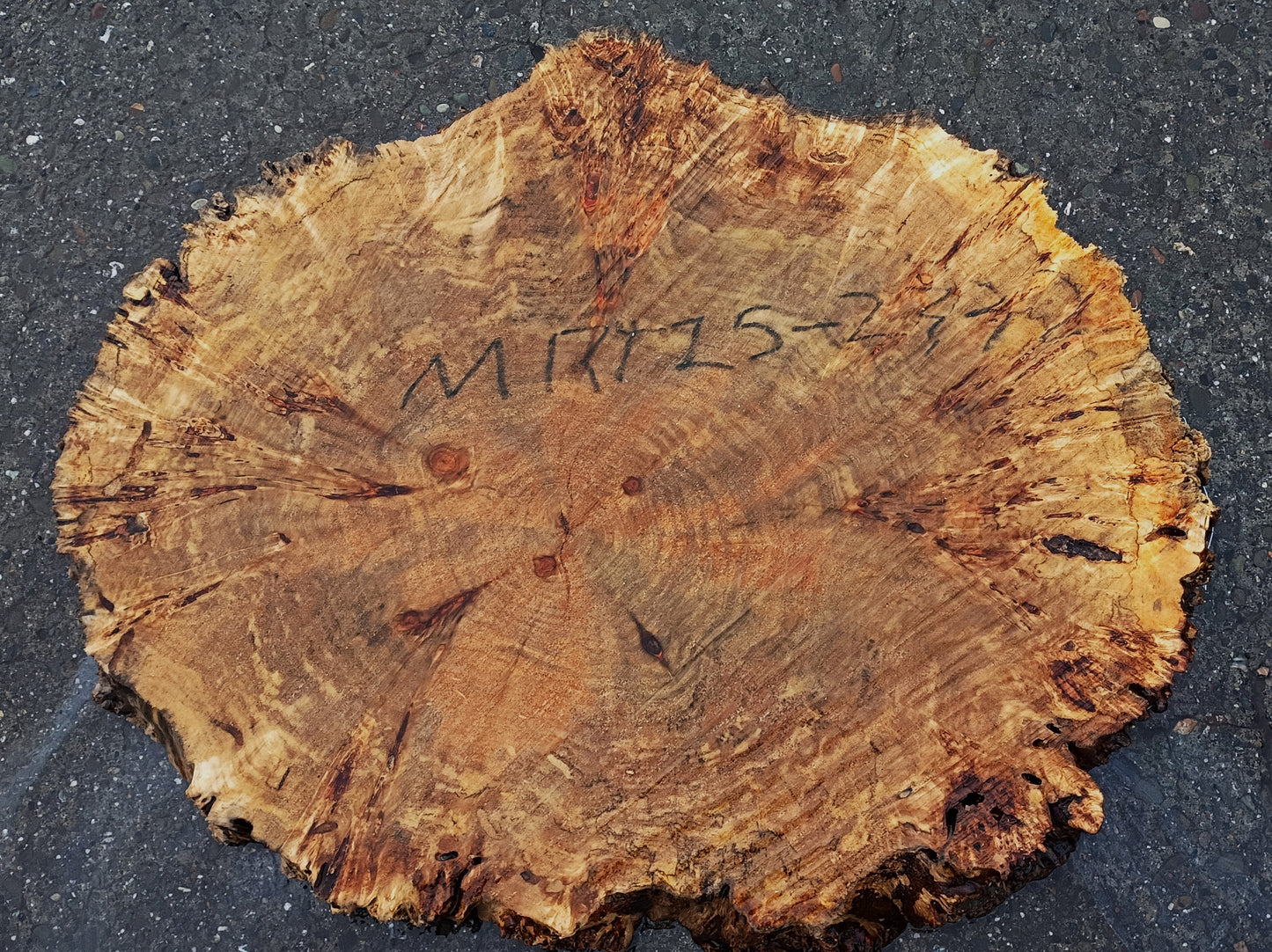 Myrtle Burl Slab | Live Edge | River Table | DIY |  Mrt25-2332