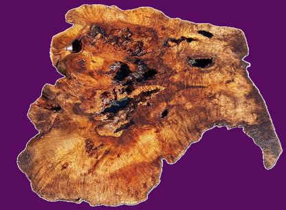 myrtle burl | river table | DIY | Live edge slab | MRT25-2941