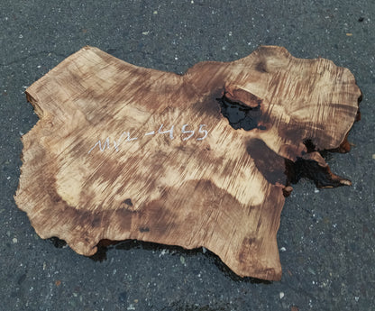 Myrtle Burl Slab | DIY | Table | Bay Laurel | Mrt-455