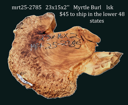Myrtle Burl Slab| DIY Crafts | Myrtle Wood | MRT25-2785