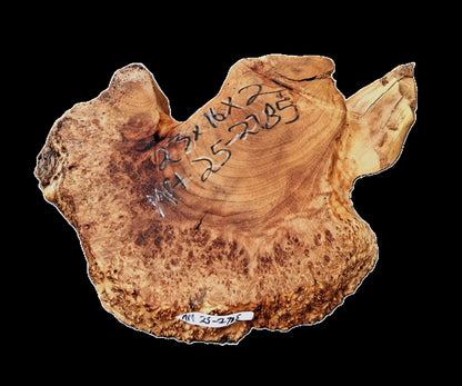 Myrtle Burl Slab| DIY Crafts | Myrtle Wood | MRT25-2785