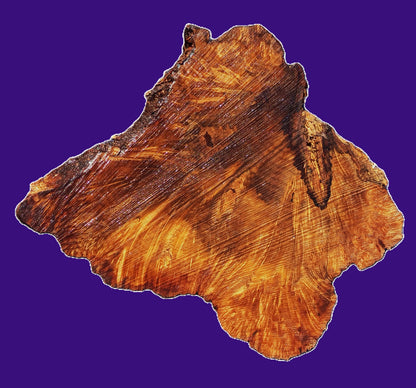 Myrtle Burl Slab | DIY | Table | Craft Wood | MRT26-2831