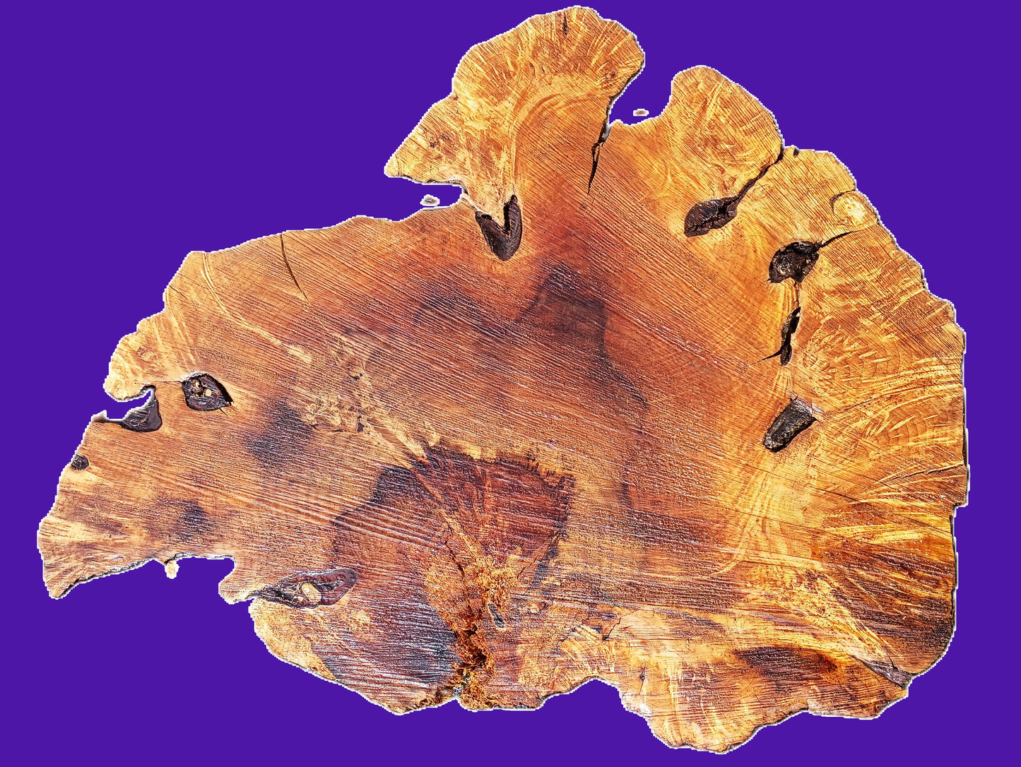 myrtle burl | river table | DIY | Live edge slab | mrt26-3808