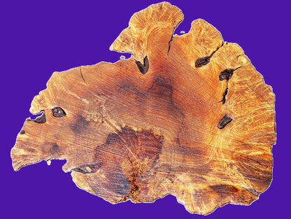myrtle burl | river table | DIY | Live edge slab | mrt26-3808