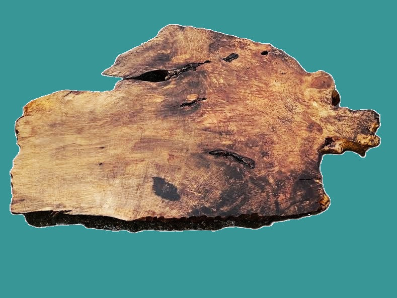 myrtle burl | river table | DIY | Live edge slab | mrt26-3812