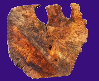Myrtle Bay Laurel Burl | River Table | DIY | Live edge slab | MRT26-3907