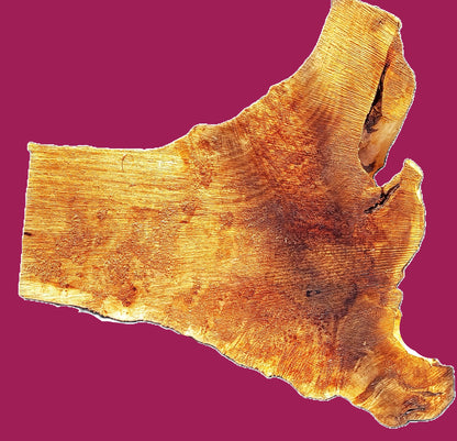 Myrtle Bay Laurel Burl | River Table | Live Edge Slab | MRT26-3945