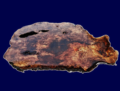 myrtle burl | river table | DIY | Live edge slab | mrt26-493