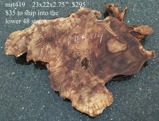 Myrtle Burl Slab | DIY | Table | Mrt-419