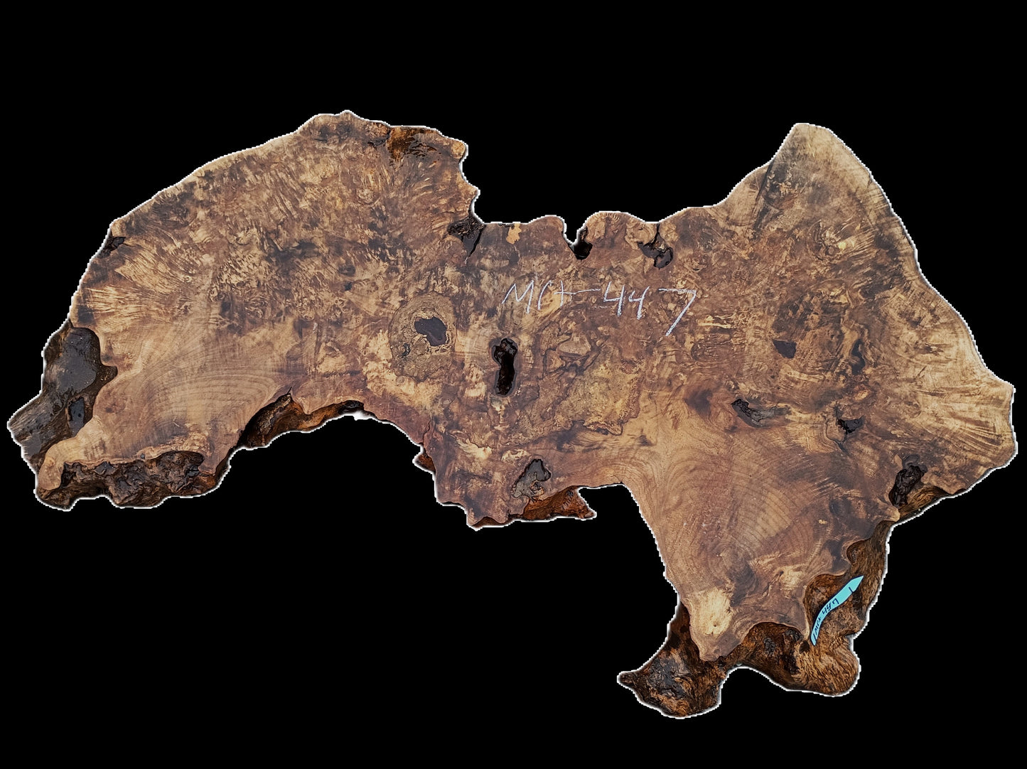Spalted Myrtle Burl | Live Edge | River Table | DIY | mrt-447