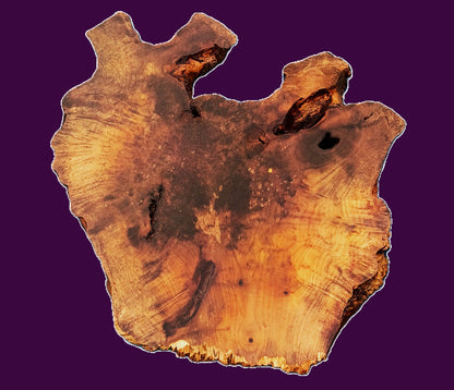 Myrtle Bay Laurel Burl | DIY | Live Edge Slab | River Table |craft ideas | MRT467