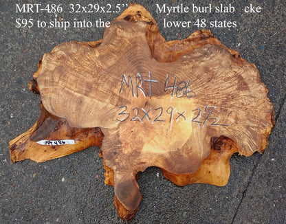 Myrtle Burl Slab | Desk | DIY | Table Slab | MRT24-486