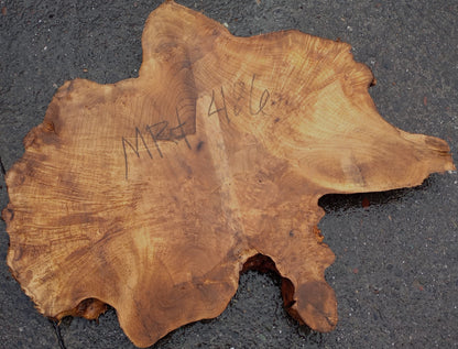 Myrtle Burl Slab | Desk | DIY | Table Slab | MRT24-486