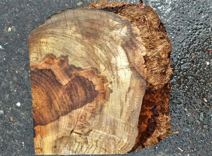 Myrtle burl | bowl turning | wood turning | DIY wood crafts | bl23-0536