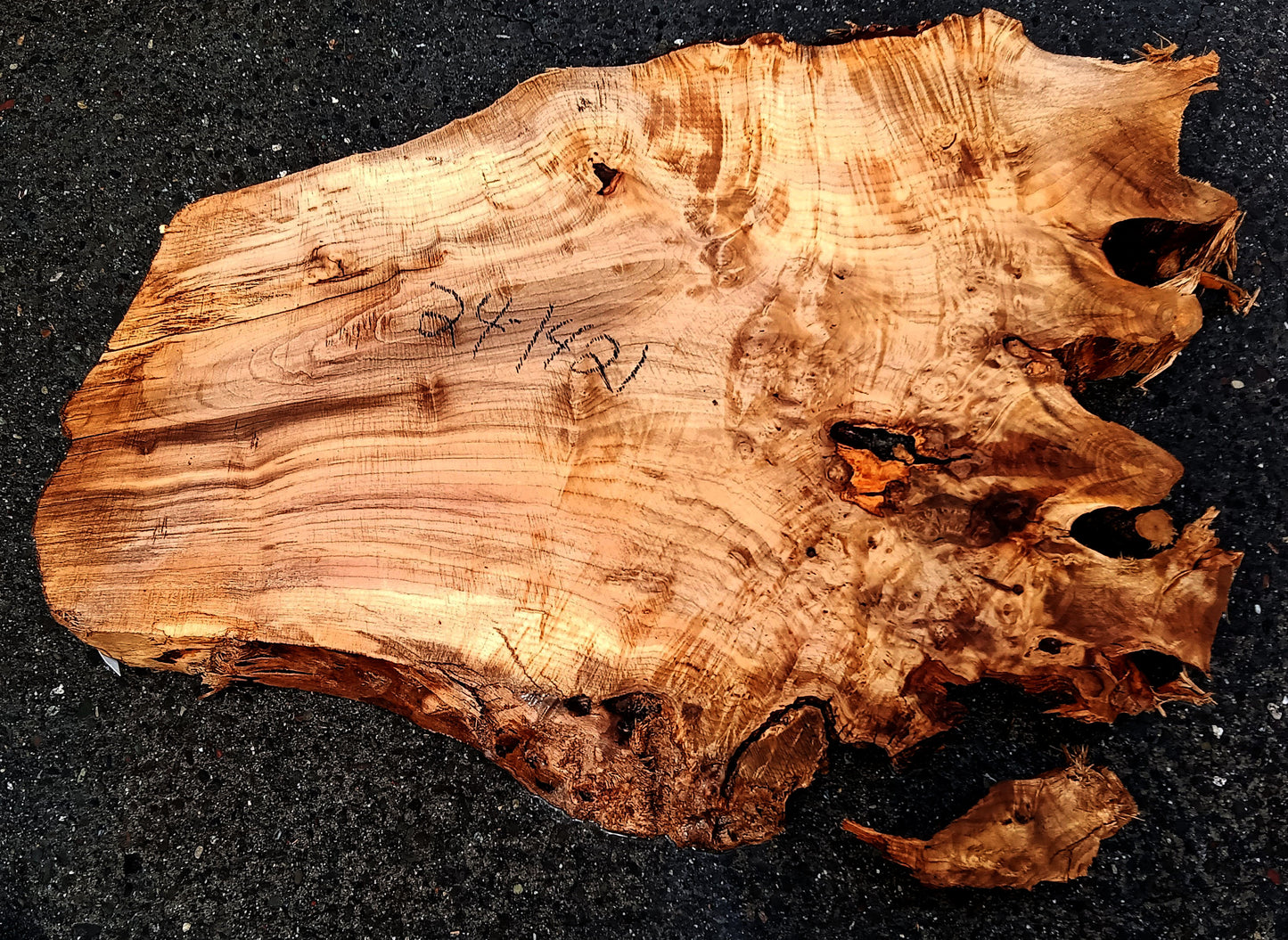 Myrtle Burl Slab| DIY Crafts | Myrtle Wood | MRT24-1412