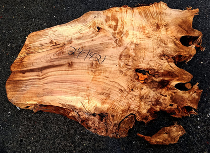 Myrtle Burl Slab| DIY Crafts | Myrtle Wood | MRT24-1412