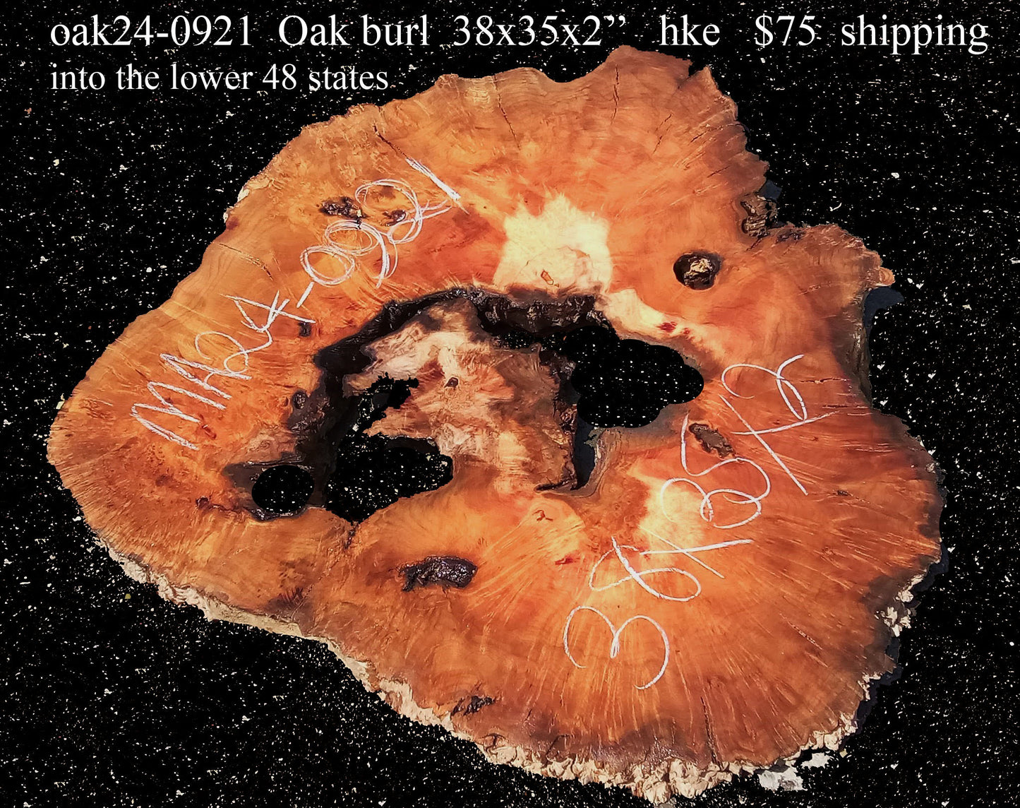 Oak Burl Slab | Cookie Cut | Craft Woods | DIY | River Table | Oak24-0921