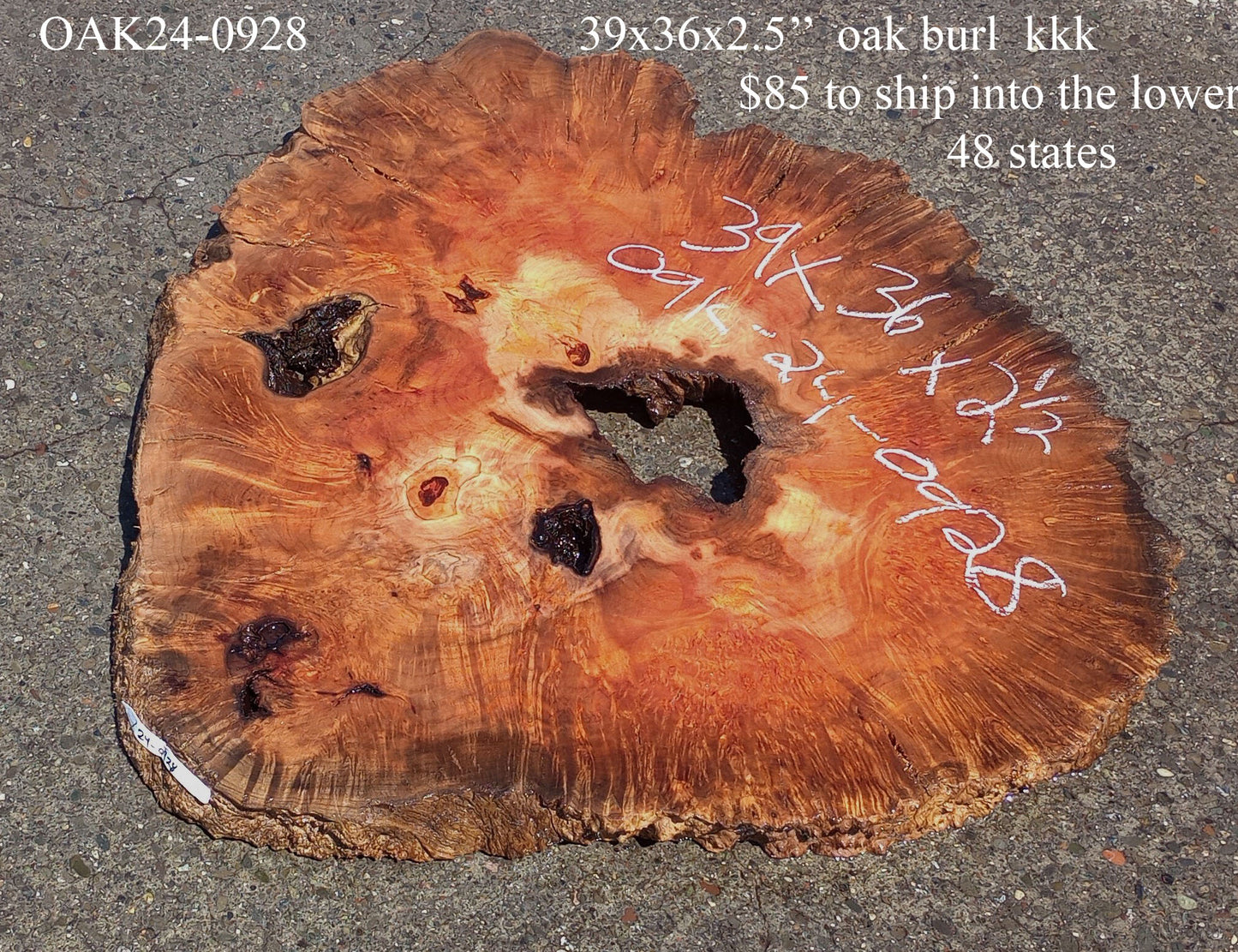 Oak Burl Slab | Cookie Cut | Craft Woods | DIY | River Table | Oak24-0928