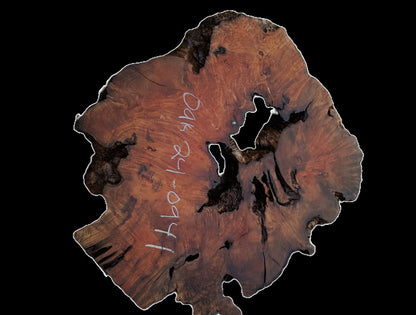 Oak Burl | DIY | Table | Craft Wood | River Table | Oak24-0941