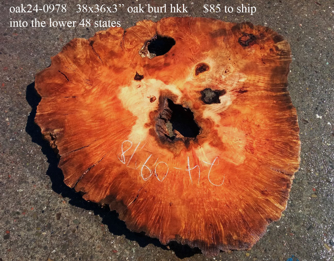 Oak Burl Slab | Cookie Cut | Craft Woods | DIY | River Table | Oak24-0978