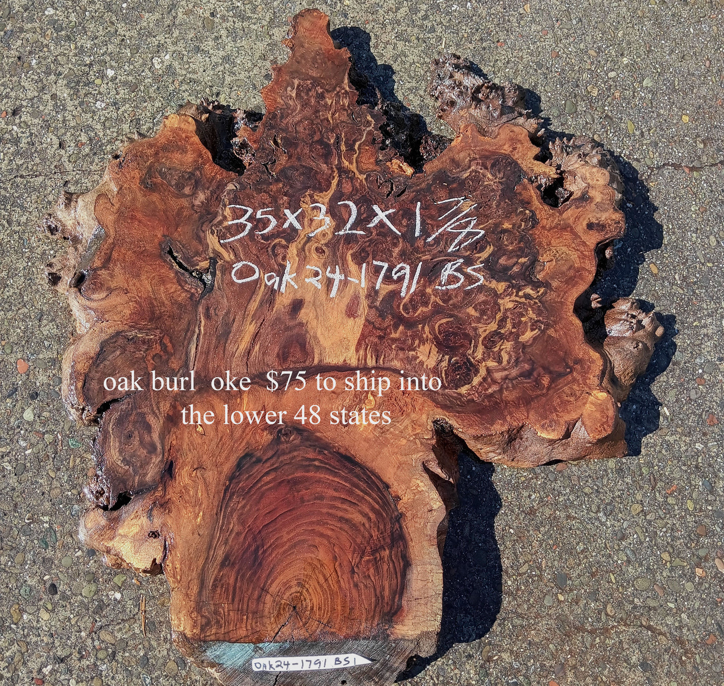 Oak Burl Slab | Craft Woods | DIY | Table | Oak24-1791