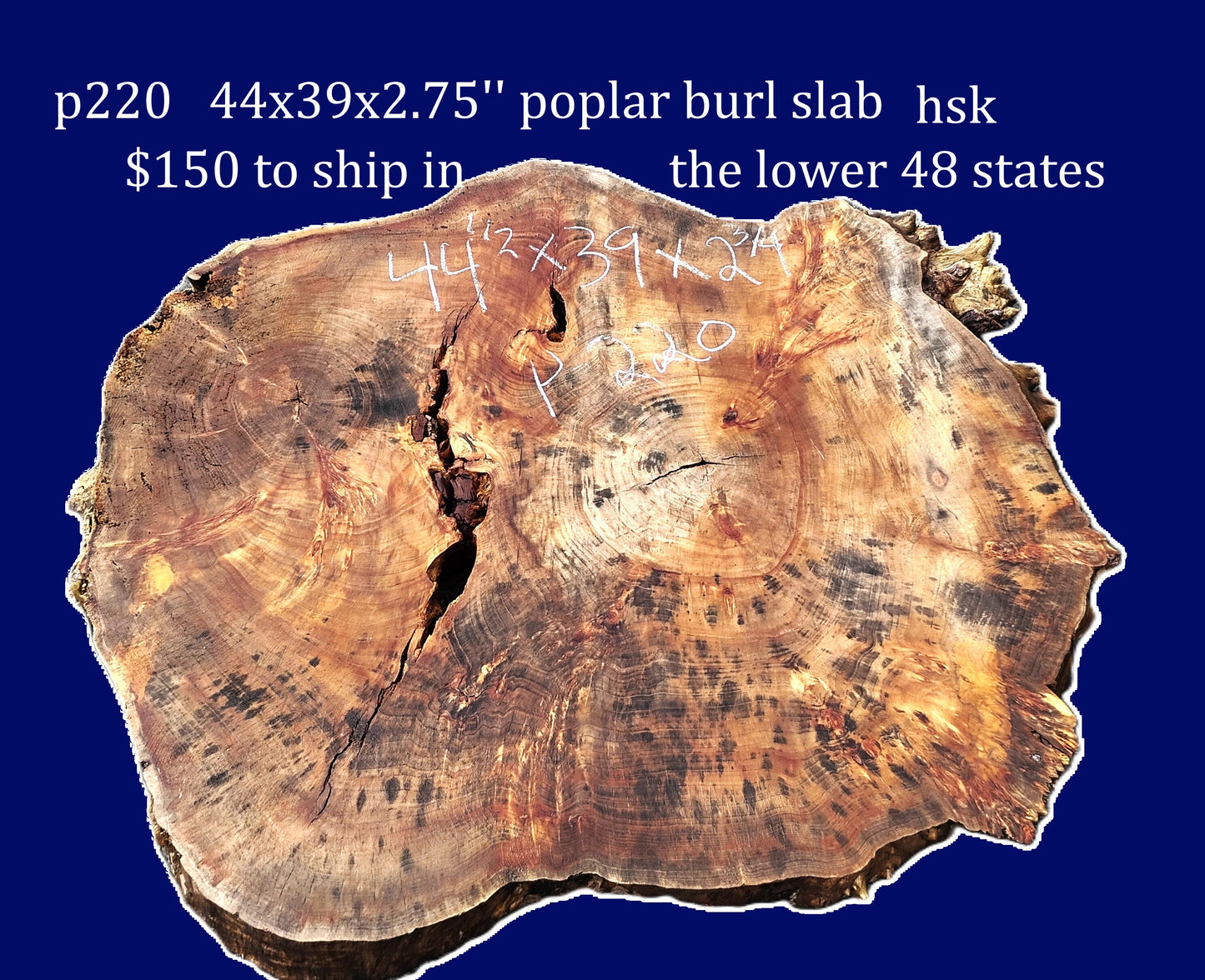 Poplar Burl Slab | DIY | Craft Wood |Table| P220