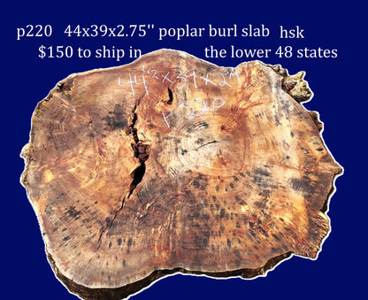 Poplar Burl Slab | DIY | Craft Wood |Table| P220