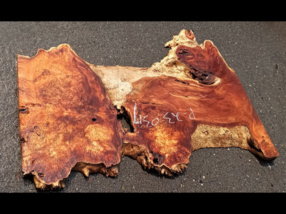 Poplar cluster burl | epoxy river table | live edge | DIY ideas | p23-0317