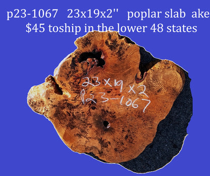 Poplar/Cotton Wood | Craft Wood| DIY | River Table | P23-1067