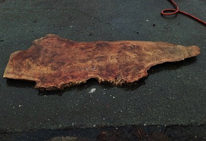 MappaBurl | Poplar | Burl Slab | River Table | P24-0768