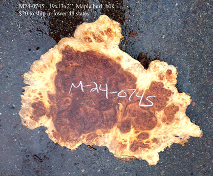 Mappa Poplar Burl slab | live edge | cookie cut | DIY | End Table  | p24-0745