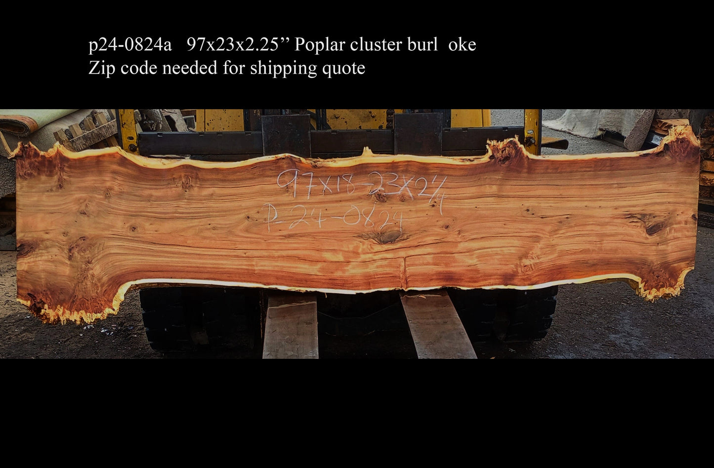 Live Edge Poplar Burl Slab | Table | Epoxy River Idea | P24-0824