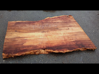 Mappa burl | Poplar | Burl Slab| Desk | Dining Table | P24-0870