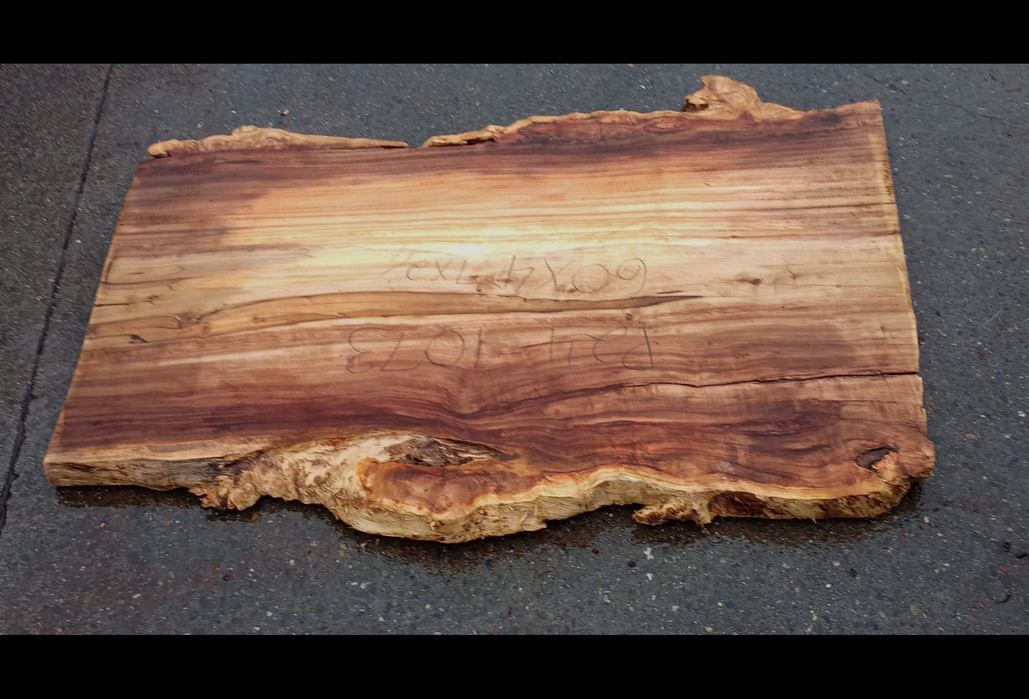 Mappa burl | Poplar | Burl Slab| Desk | Dining Table | P24-1073