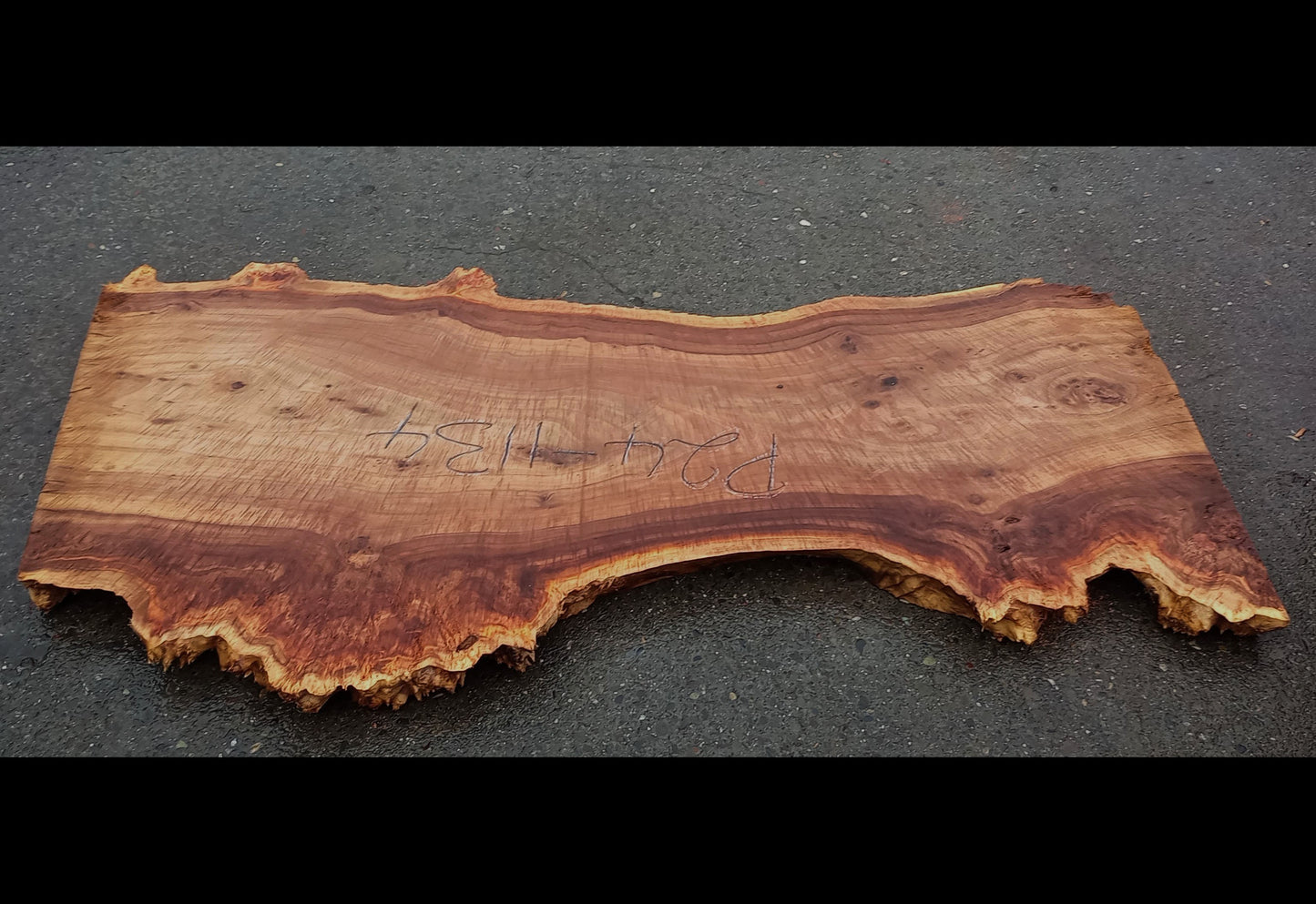 Mappa burl | Poplar | Burl Slab| Desk | Dining Table | P24-1134