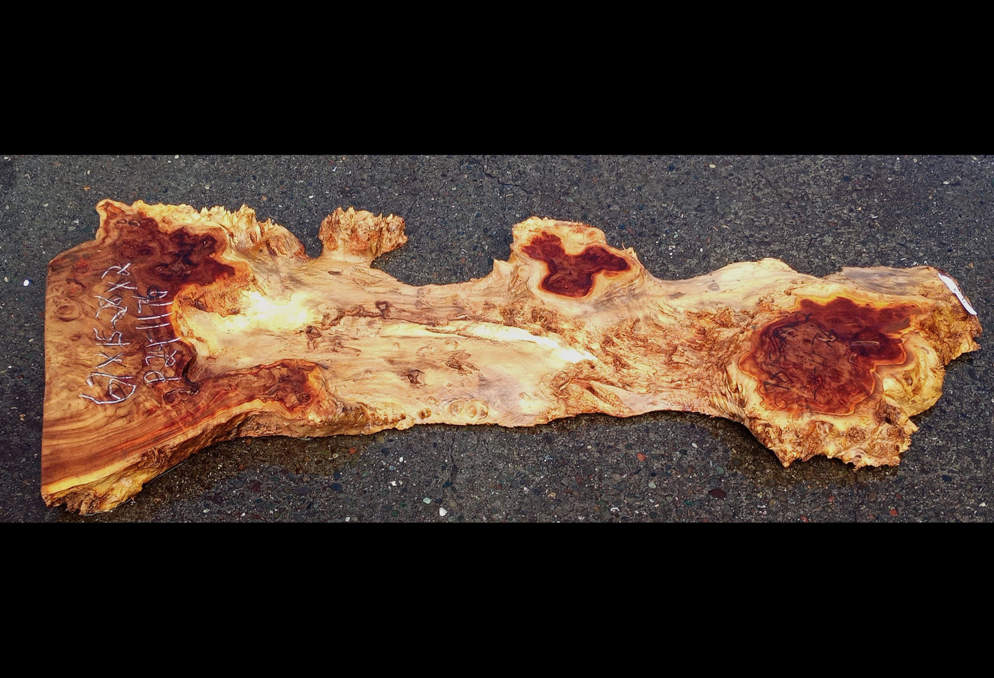 Mappa burl | Poplar | Burl Slab | Desk | River Table | P24-1176