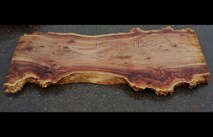 Mappa burl | Poplar | Burl Slab| Desk | Dining Table | P24-1180