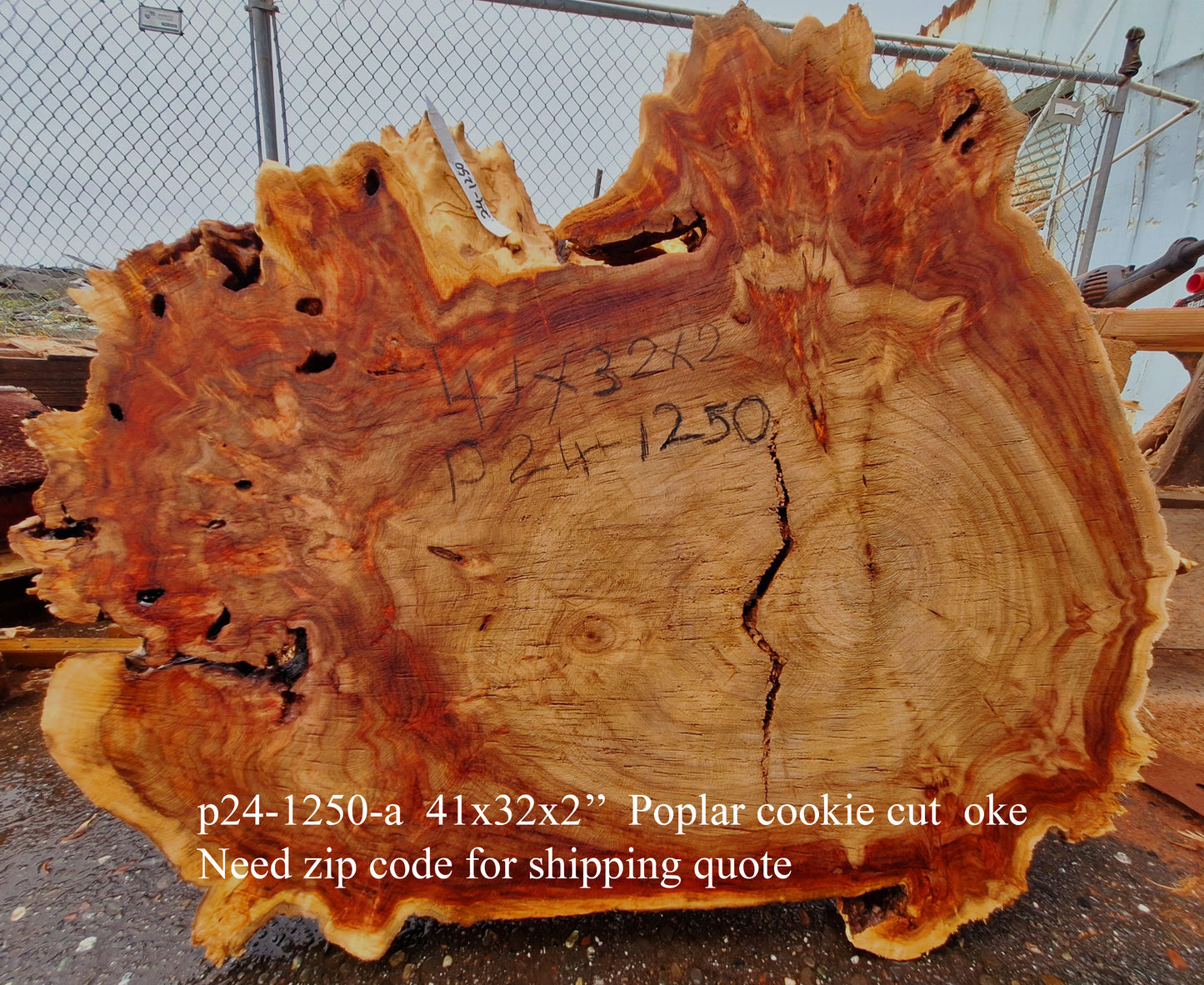 Mappa Poplar Slab | Live Edge | Cookie Cut | DIY | p24-1250