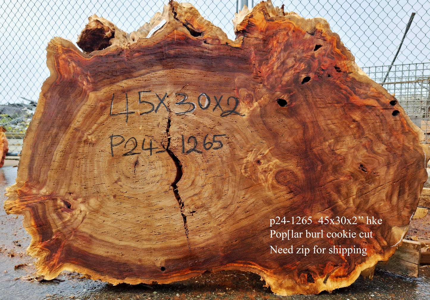 Mappa Poplar Slab | Live Edge | Cookie Cut | DIY | p24-1265