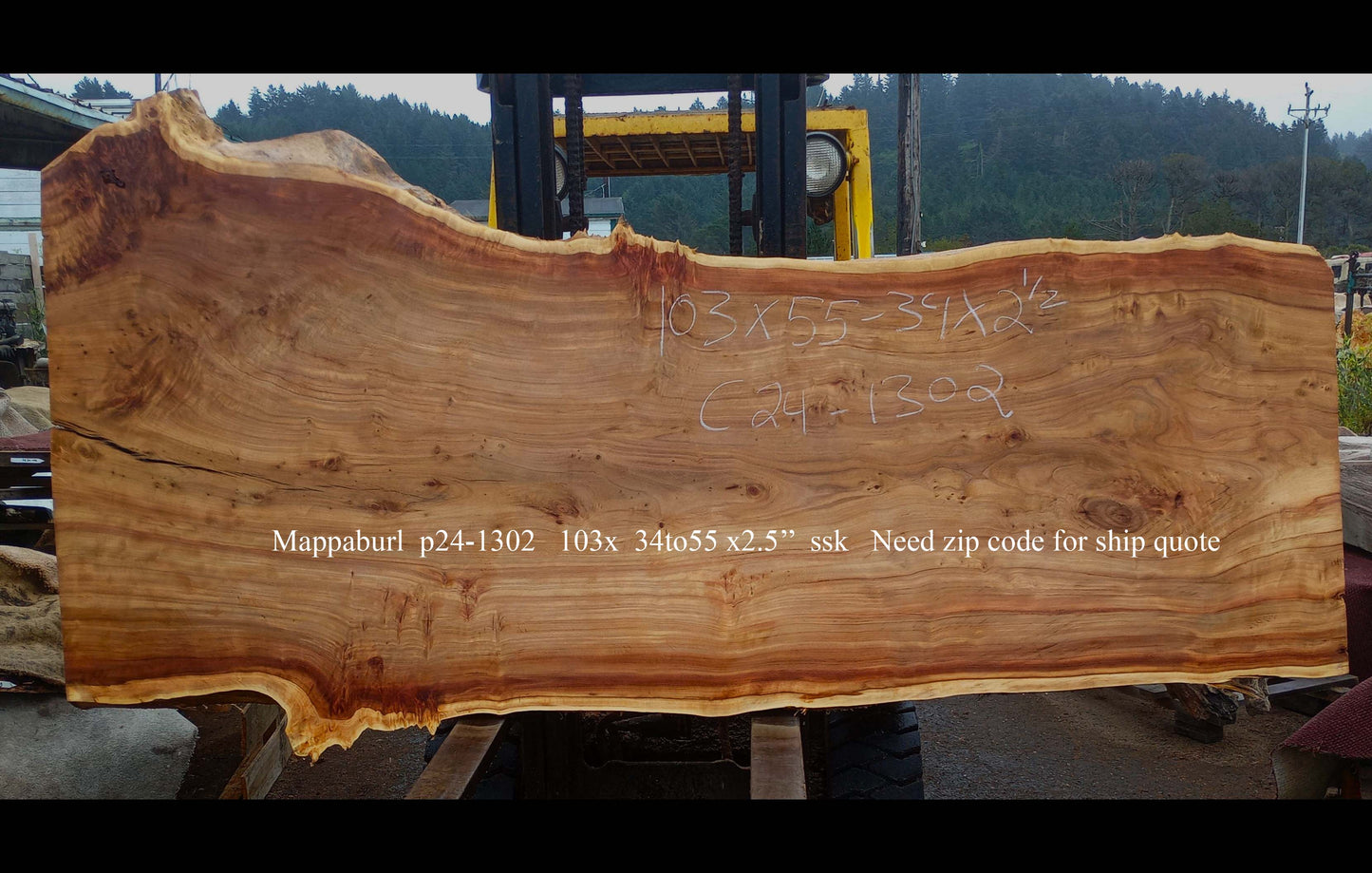 Mappa Burl Slab | Desk | Table | Bar | P24-1302