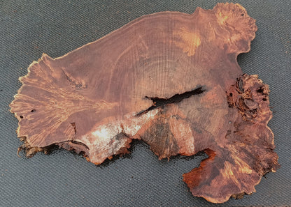 Mappa Poplar Burl | Live Edge | Cookie Cut | DIY | p24-1427