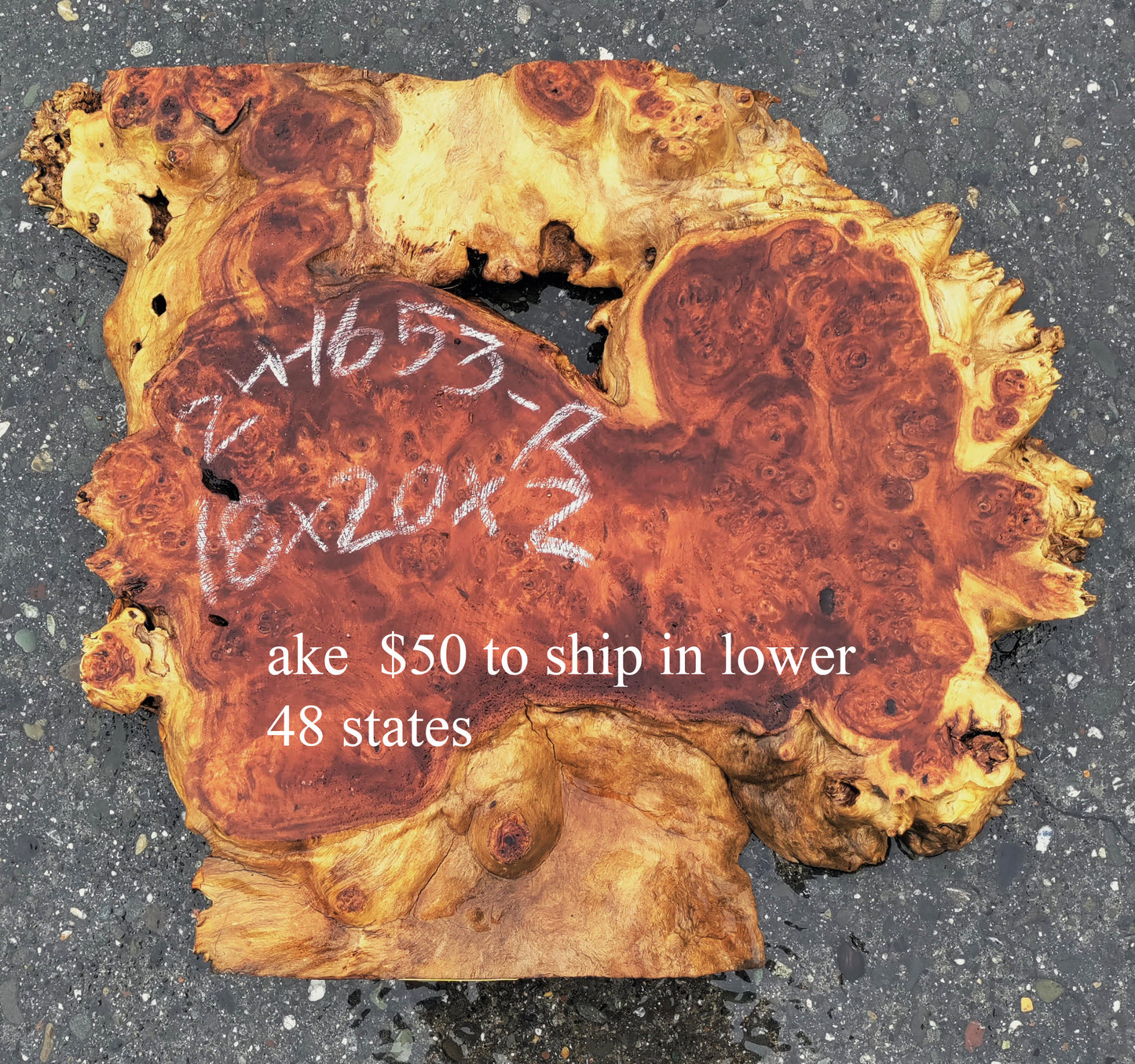 Mappa burl | Poplar | Burl Slab| Craft Wood | DIY crafts | P24-1653