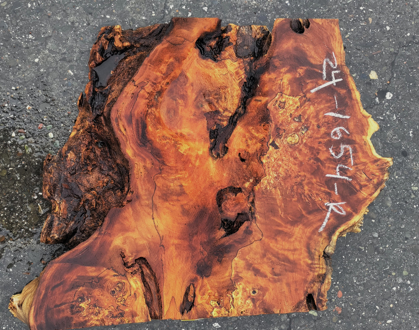 Mappa Poplar Slab | Live Edge | Burl Slab | DIY Crafts | p24-1654