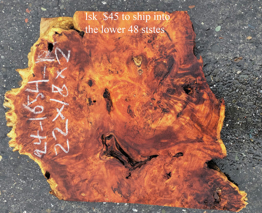 Mappa Poplar Slab | Live Edge | Burl Slab | DIY Crafts | p24-1654