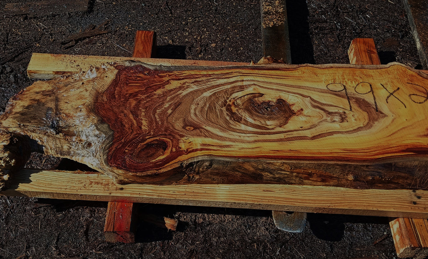 Poplar Burl Slab | Burl | Epoxy Idea | P24-1782