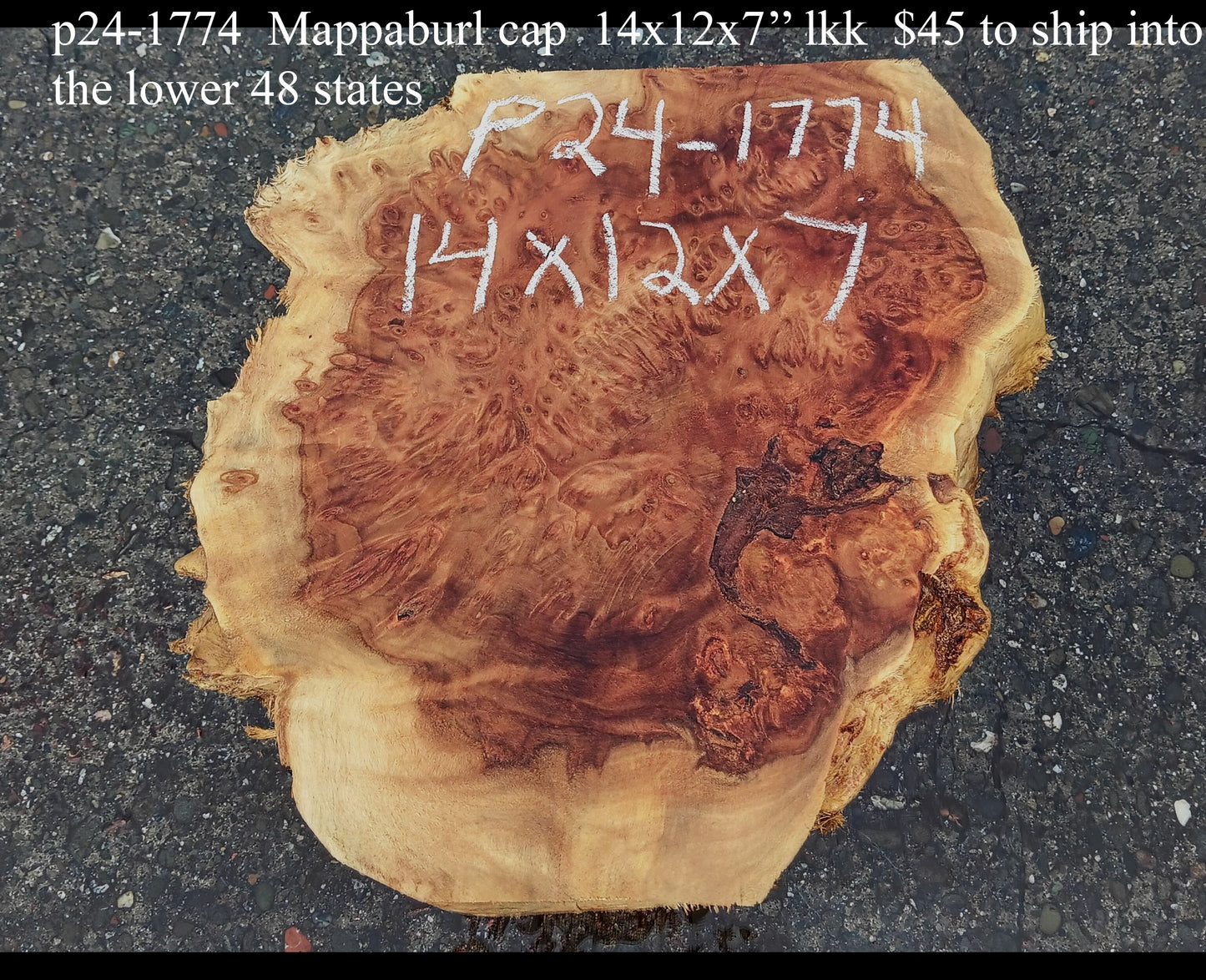 Mappa Burl Cap | Craft Wood | DIY | Burl Slab | P24-1774