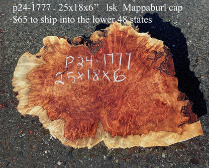 Mappa Burl Cap | Craft Wood | DIY | Burl Slab | P24-1777