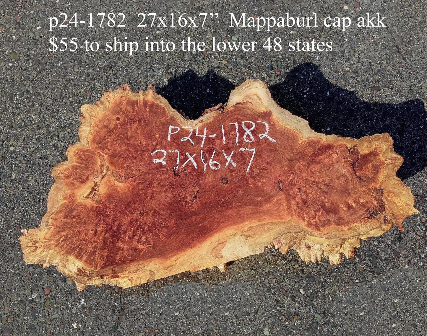 Mappa Burl Cap | Craft Wood | DIY | Burl Slab | P24-1782