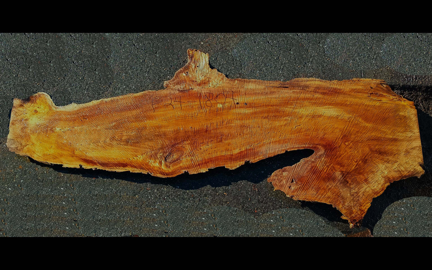 Poplar Burl | Live Edge | River Table | P24-1804