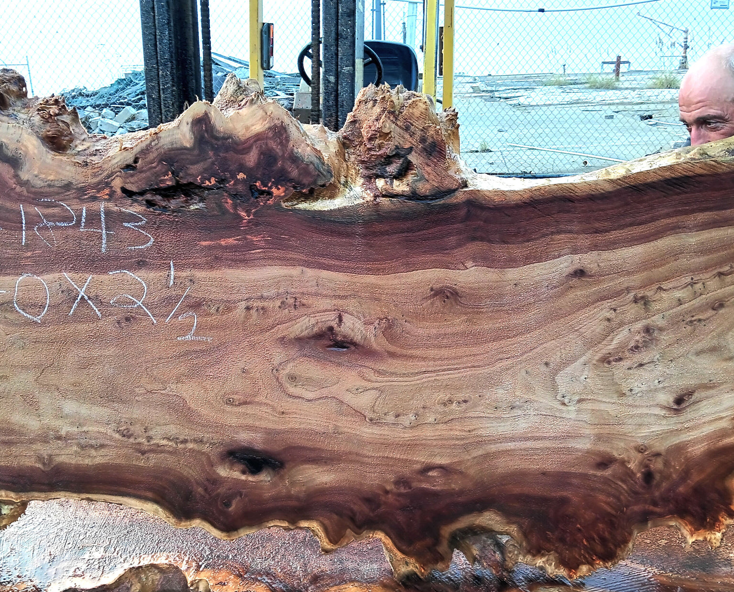 Mappa Burl Slab | Burl | Dining Table | P24-1843